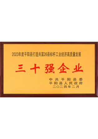 2023 Top 30 Enterprises For Exemplary High-Quality Development of Industrial Economy in Pingyang County