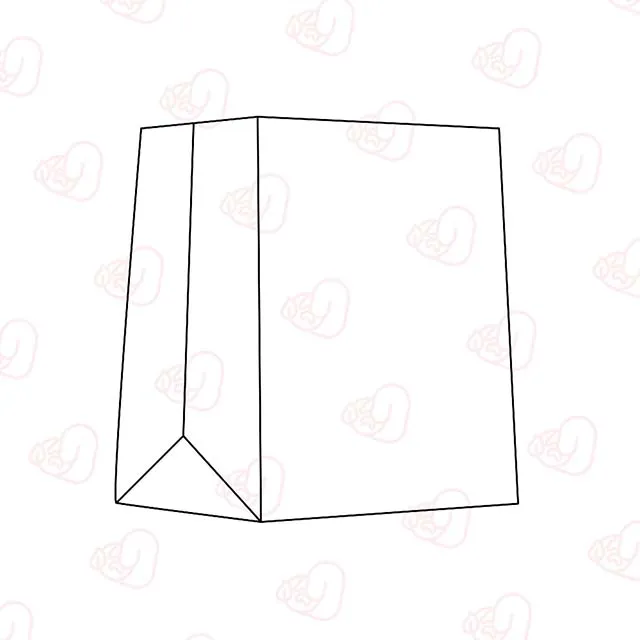 Square Bottom Paper Bag