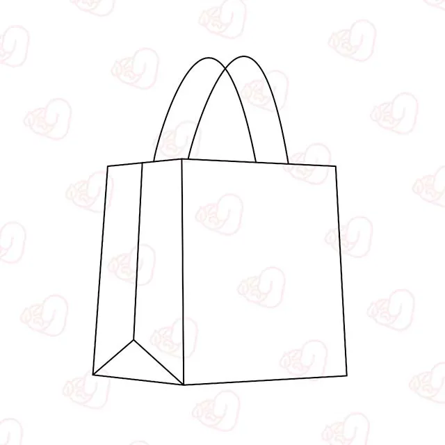 Twisted Handle Paper Bag