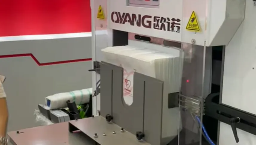 Nonwoven Box Bag Machine Indonesia Exhibition