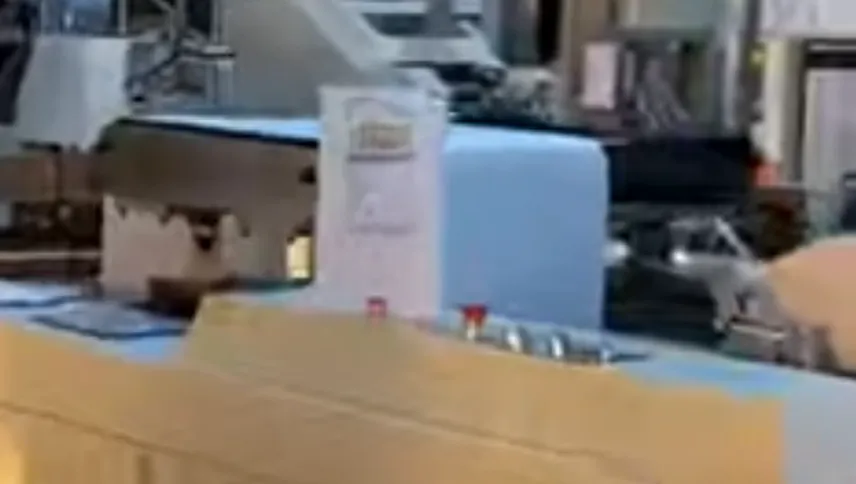 Paper Bag Machine With Window